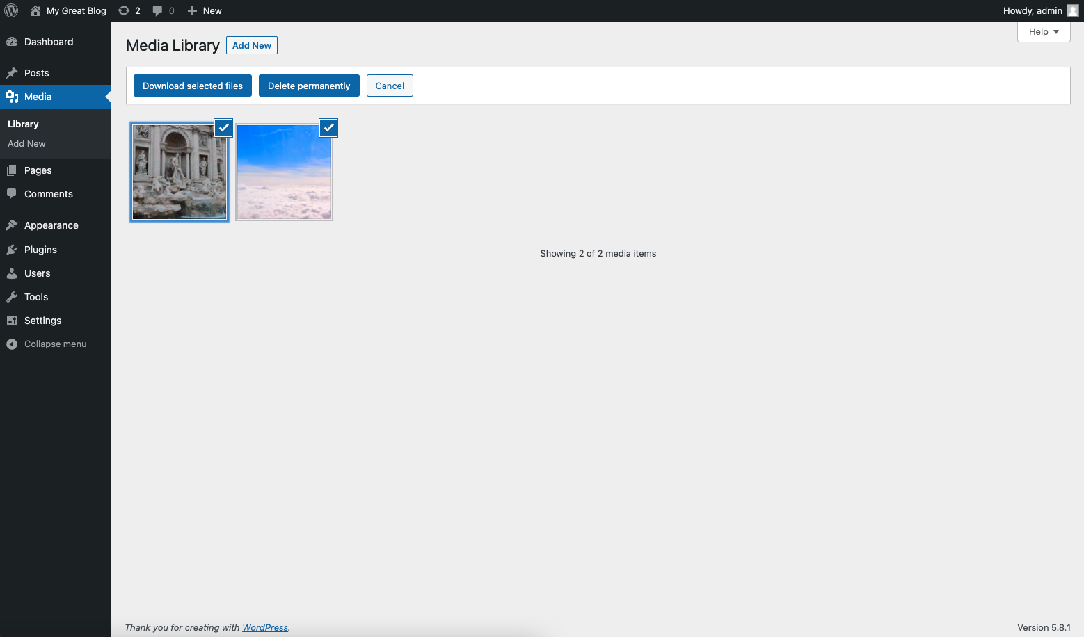 Media Library Downloader - Screenshot 1