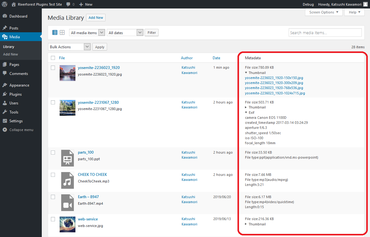 Display metadata