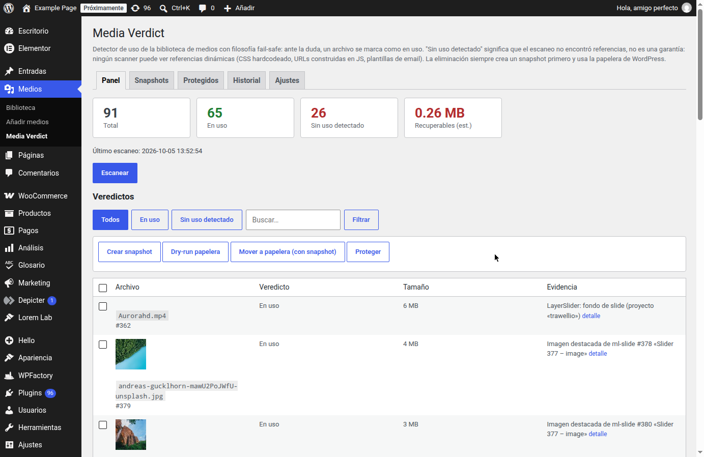 Scan dashboard: counters, filters and per-file evidence table.