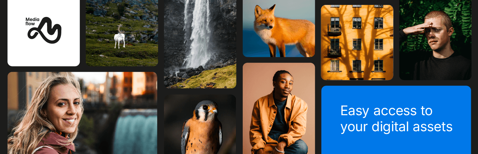 WordPress 外掛 Mediaflow 的封面圖片