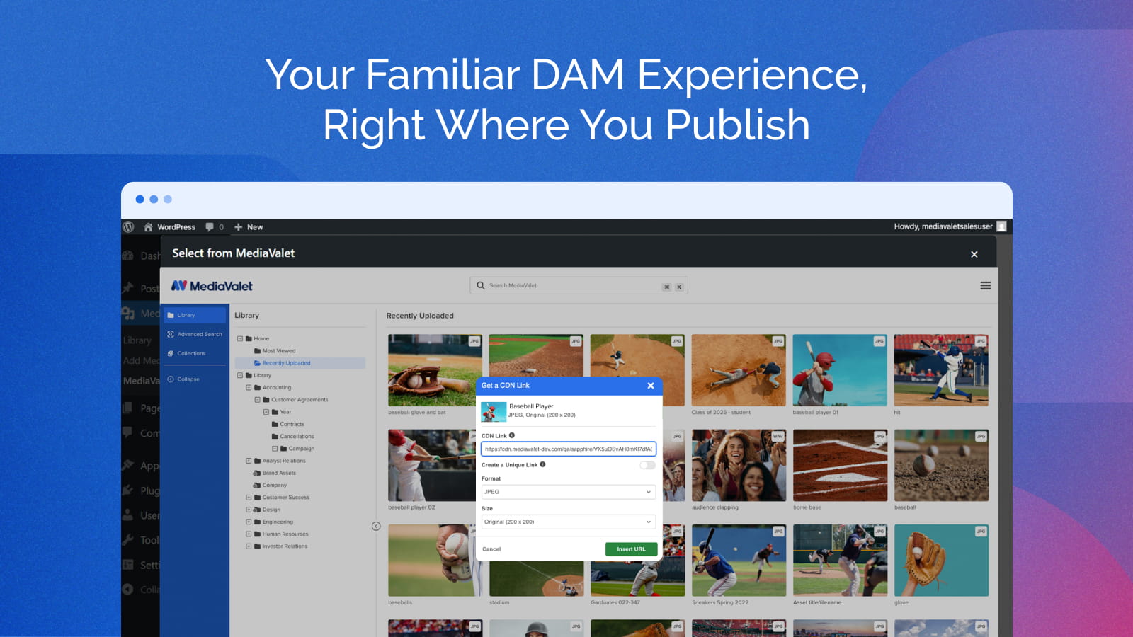 MediaValet – Your Digital Asset Management (DAM) Plugin