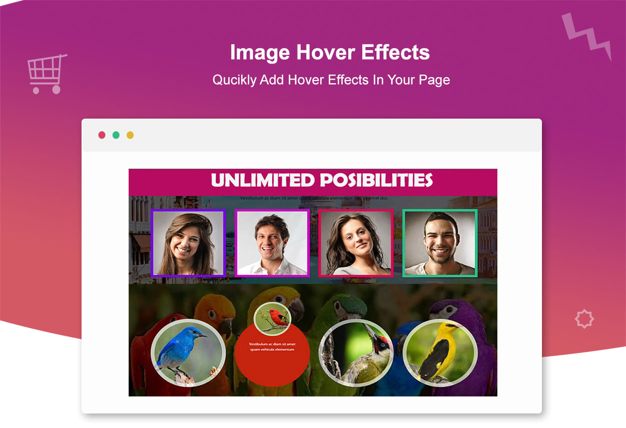 Image Hover Effects