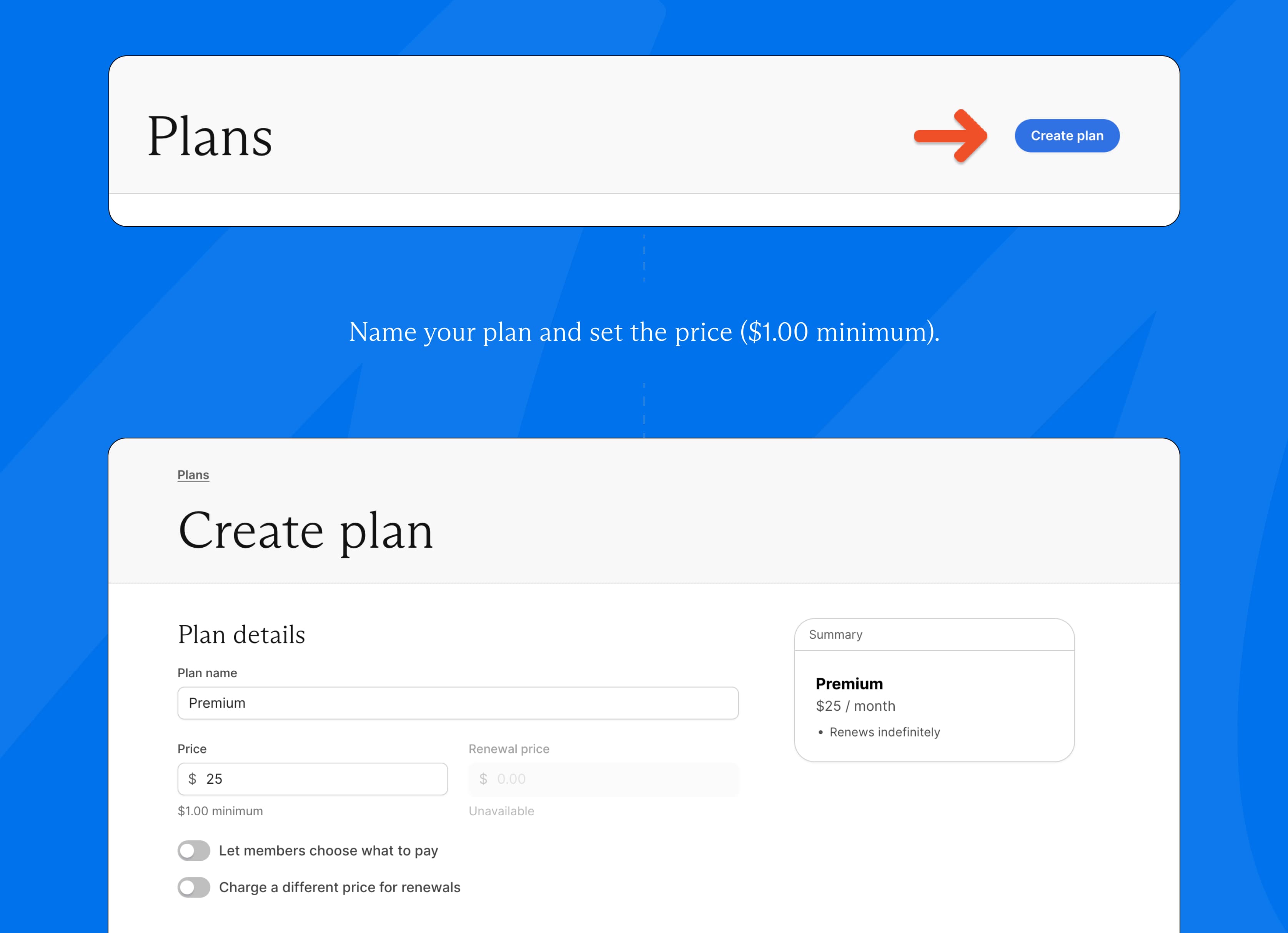 Name and price your plan