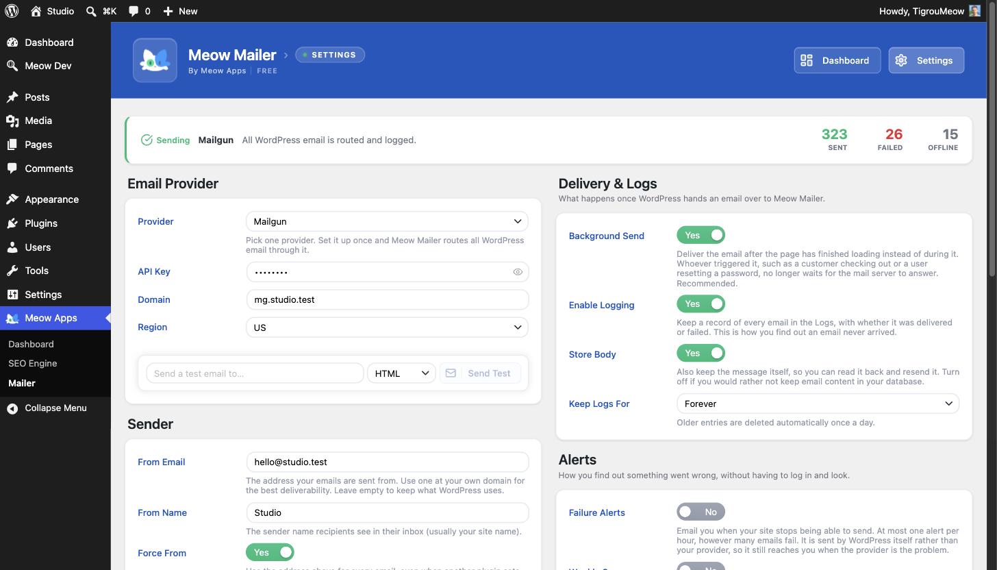 Settings: pick one provider and set it up once, with sender options, delivery controls, failure alerts, and a test email.