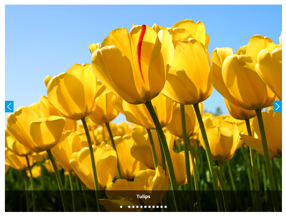 Gallery Image slider