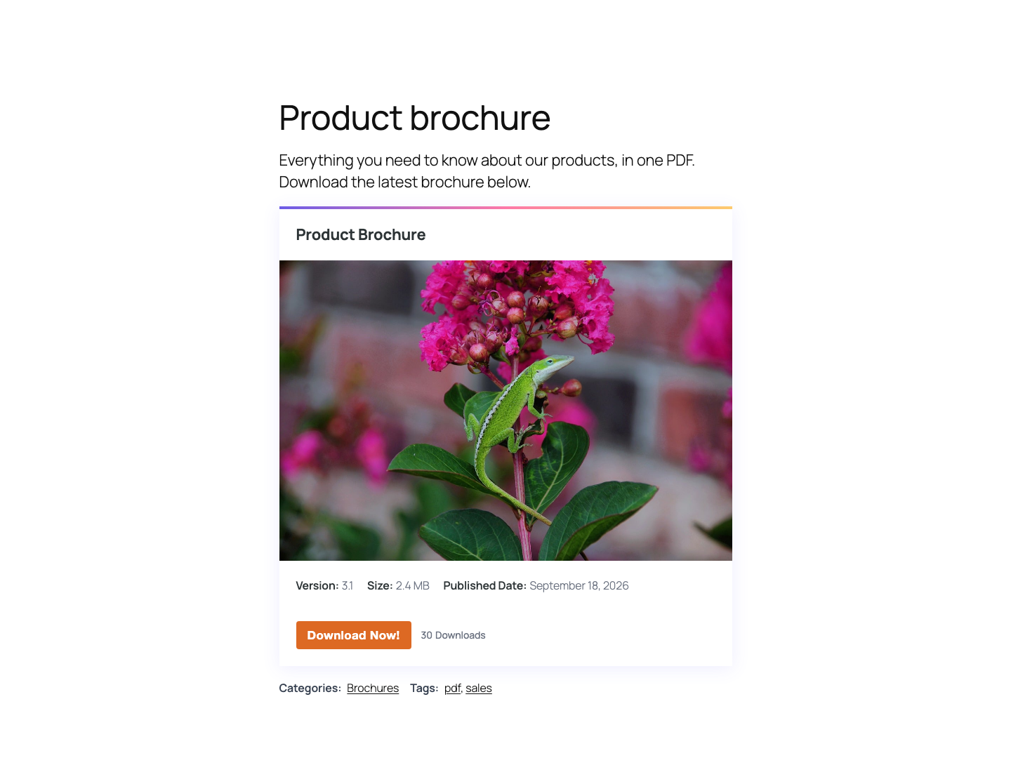 A download on your site with the default theme: title, thumbnail, version, size, date and a download button with its count.