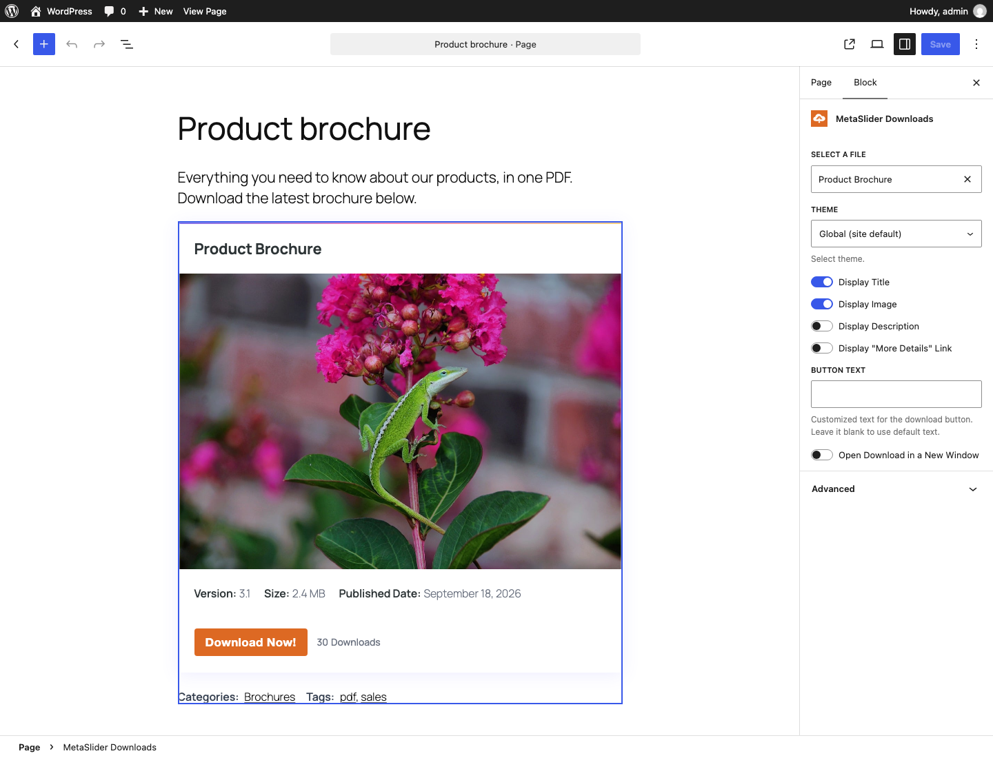 Add a download with the MetaSlider Downloads block, then choose the file, theme and what to show in the block settings.