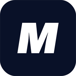 MICROFACTOR AI Visibility 外掛圖示