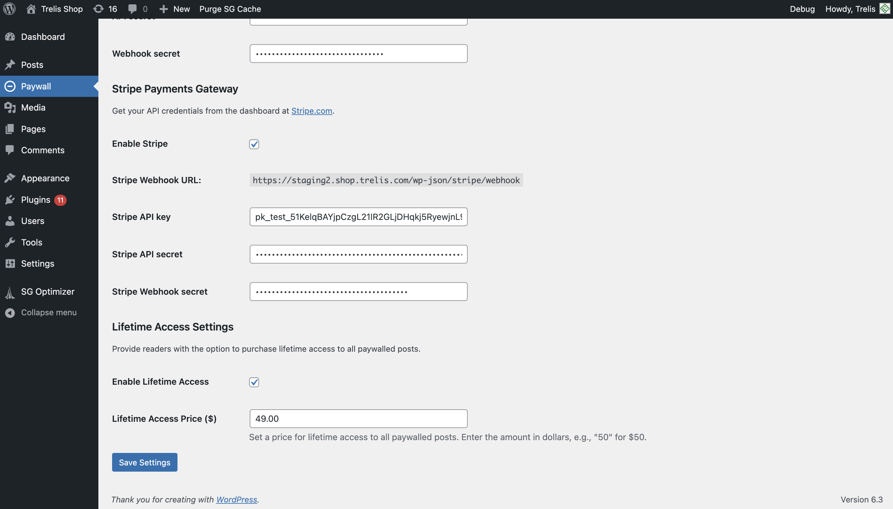 Configuring lifetime access (Premium Plugin).