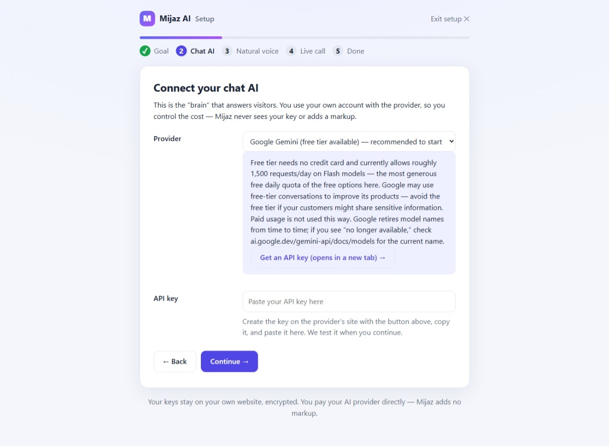 The guided Setup Wizard: choosing an AI provider and adding your own API key.
