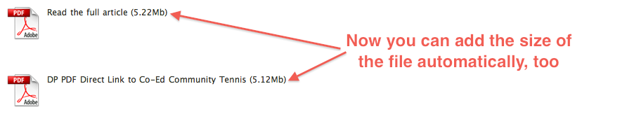 Now you can get MimeTypes Link Icons to add the file size of your attachment, too.