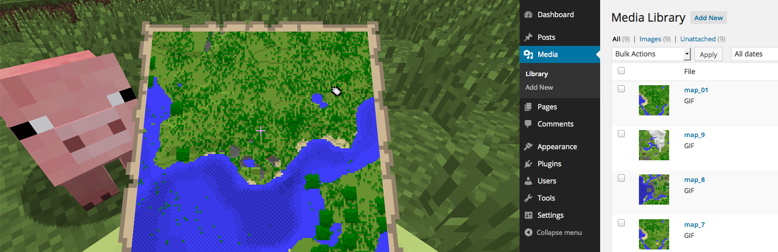 Minecraft Map to Image