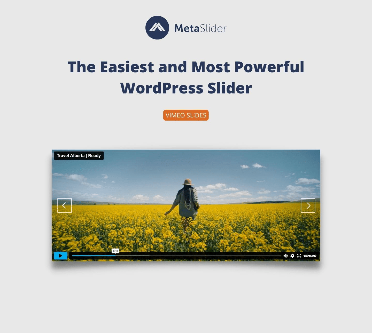 Slider, Gallery, and Carousel by MetaSlider – Responsive WordPress  Slideshows – WordPress plugin