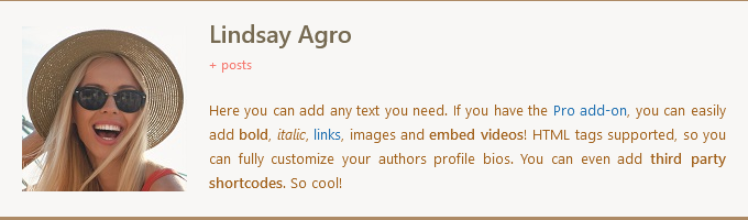 Author Box - You can play around with the box borders to design something different than what you see on other websites