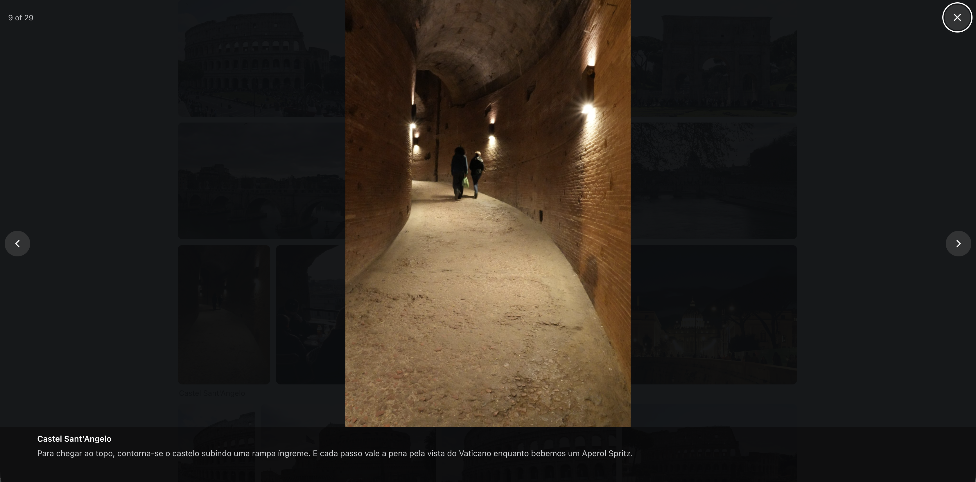 An image opened large, with its caption and its observation.
