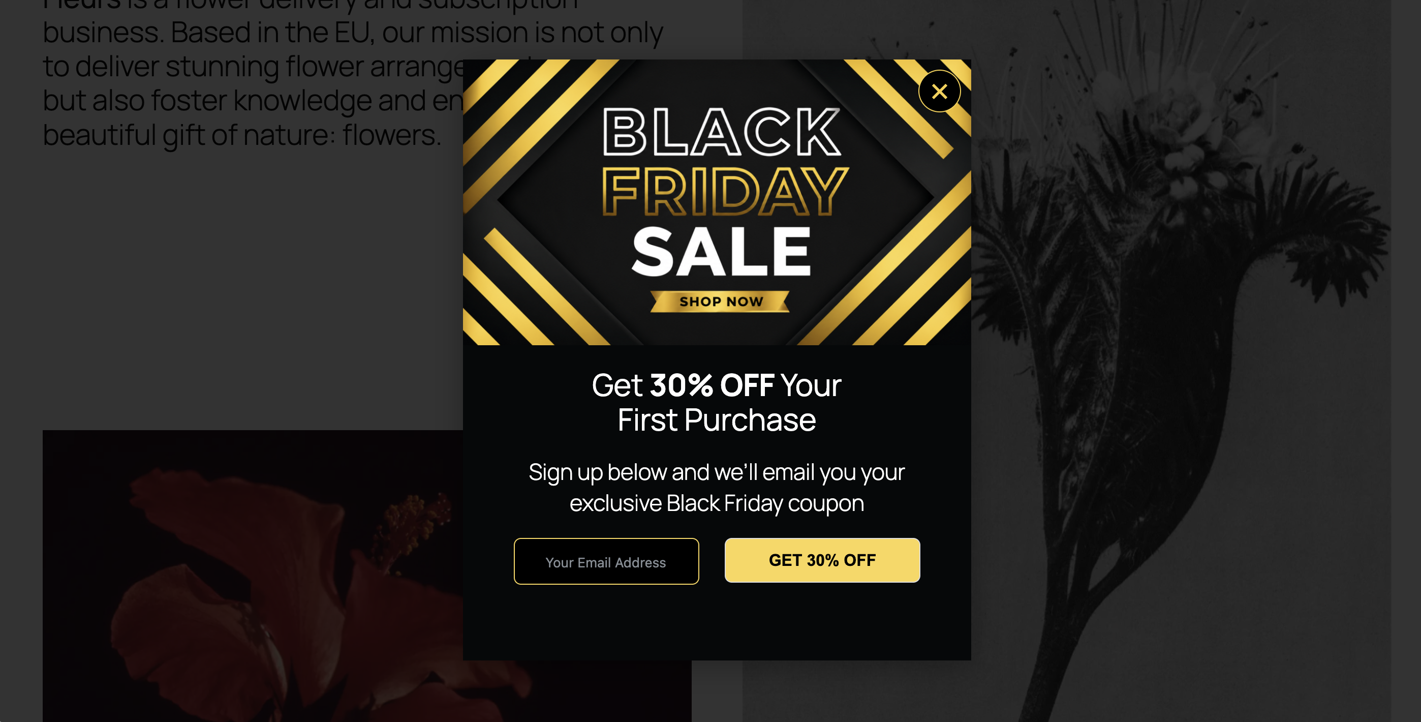 Responsive popup displayed on the front end.