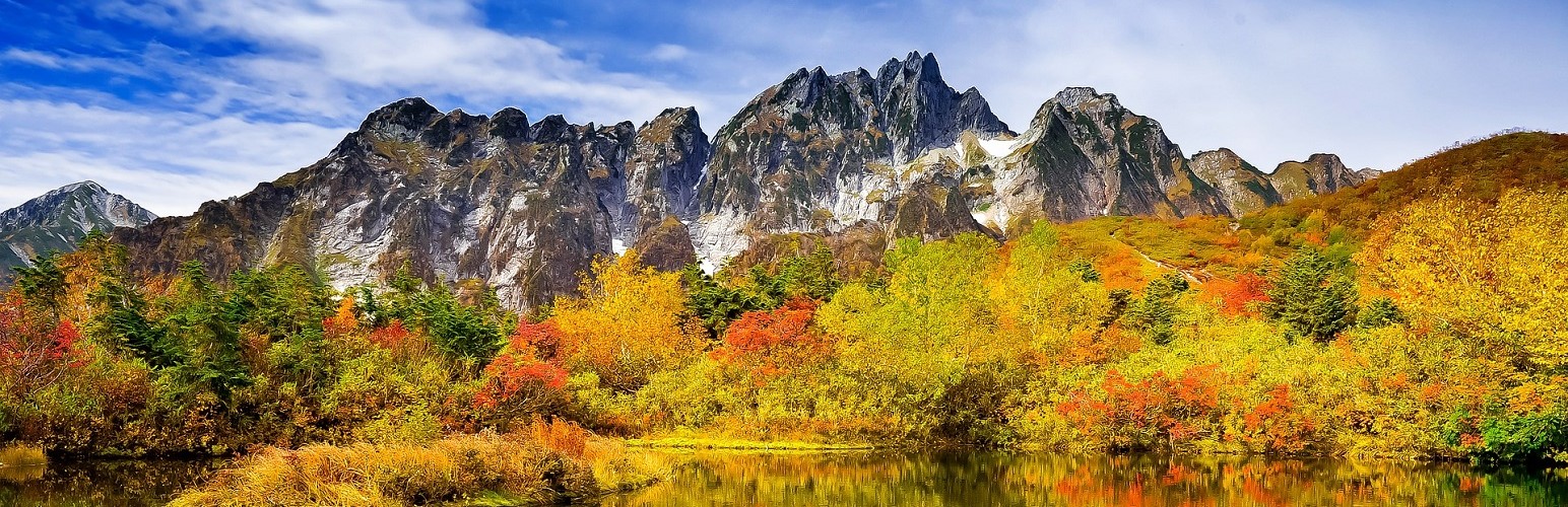 banner-1544x500