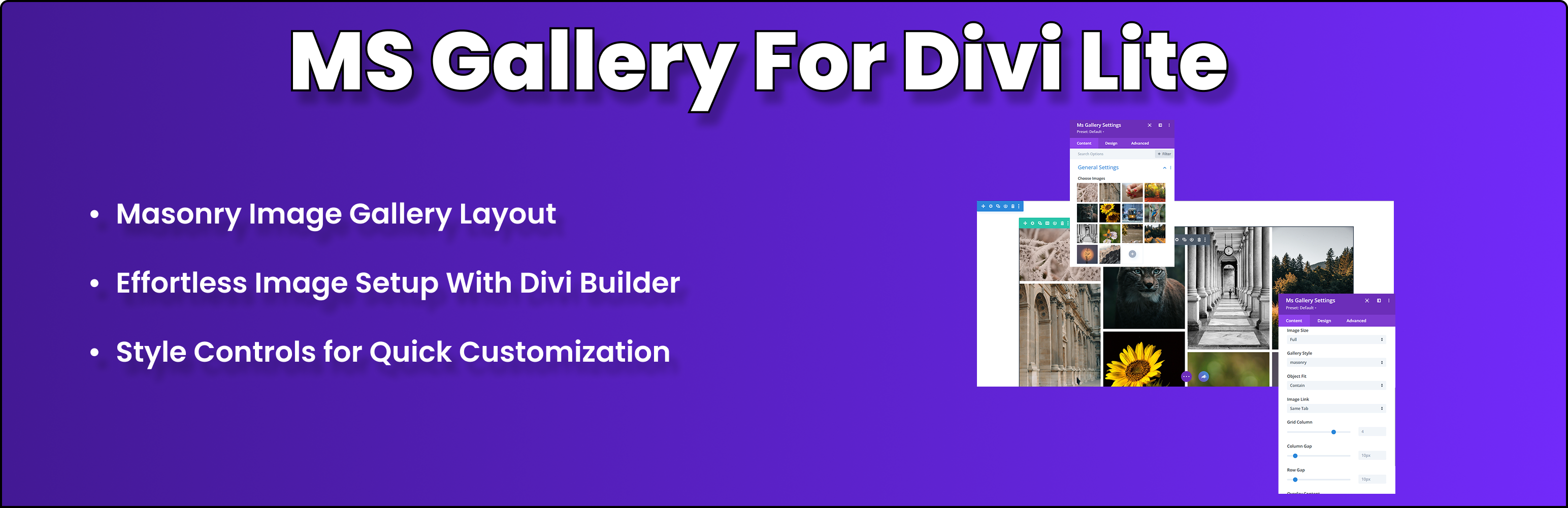 Ms Gallery For Divi Lite