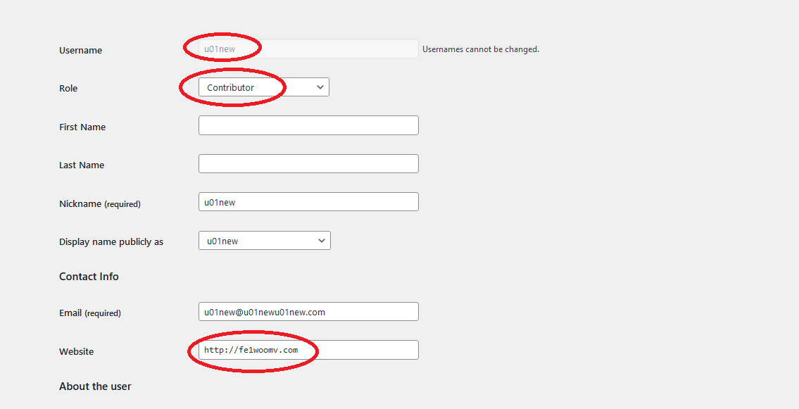 This is the screenshot of the user details. Products which will have this user set as author, will be shown on our example domain fe1woomv.com (shown in the image). You need to create one user for each front end domain and subdomain.