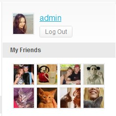 BuddyPress My Friends Widgets - Screenshot 1
