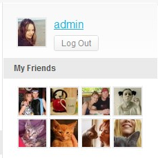 BuddyPress My Friends Widgets