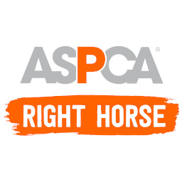 My Right Horse Icon