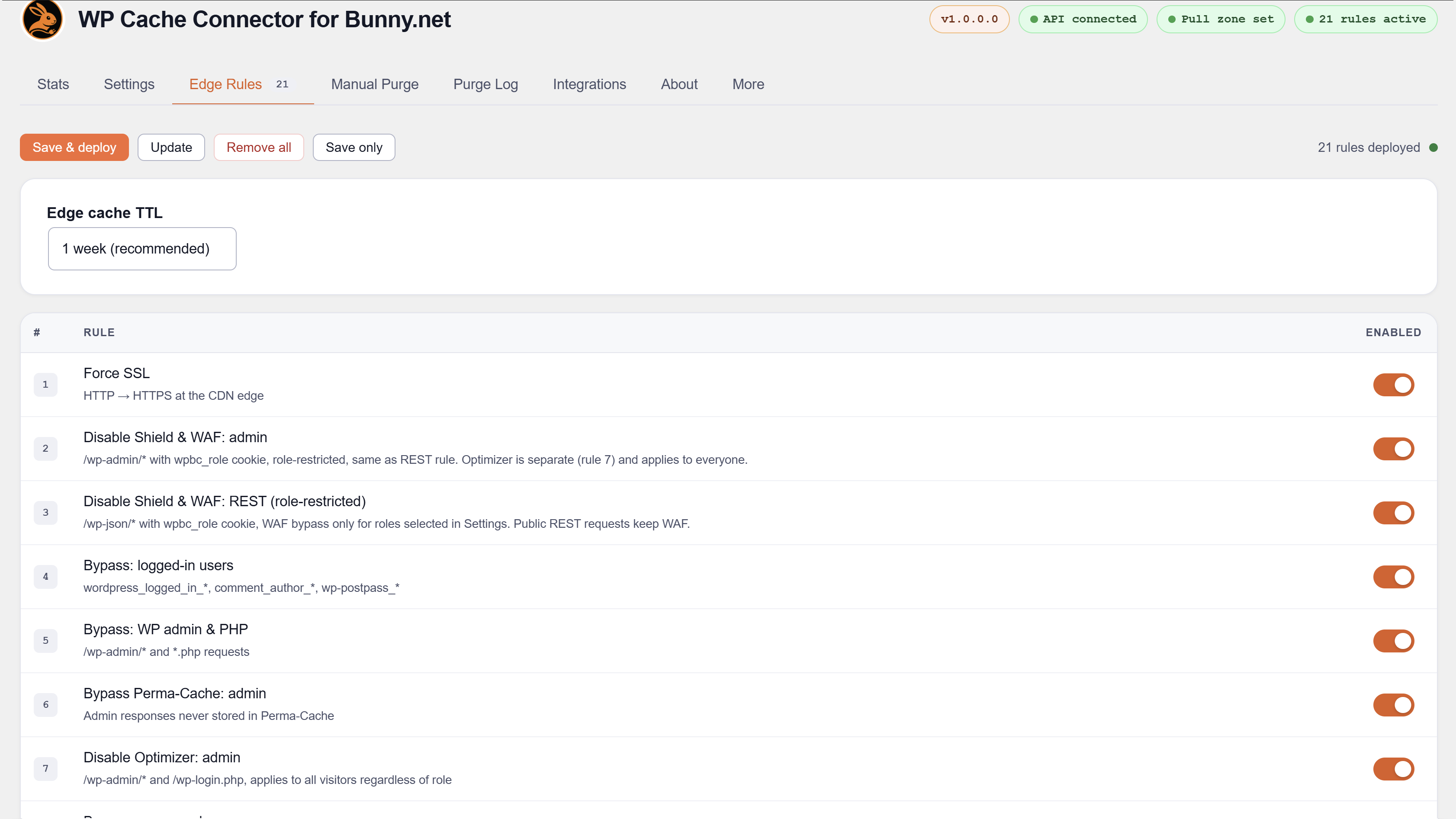 Stats tab — live CDN analytics, DNS stats, and cache sync status