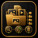 NaveenCodes Media Organizer