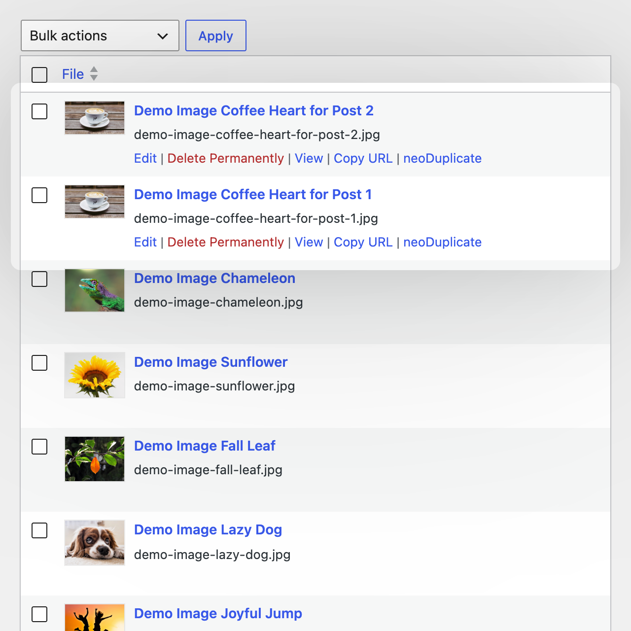 neo Duplicate - Use the same media as a separate copy to maintain individual ALT texts, titles and descriptions per page