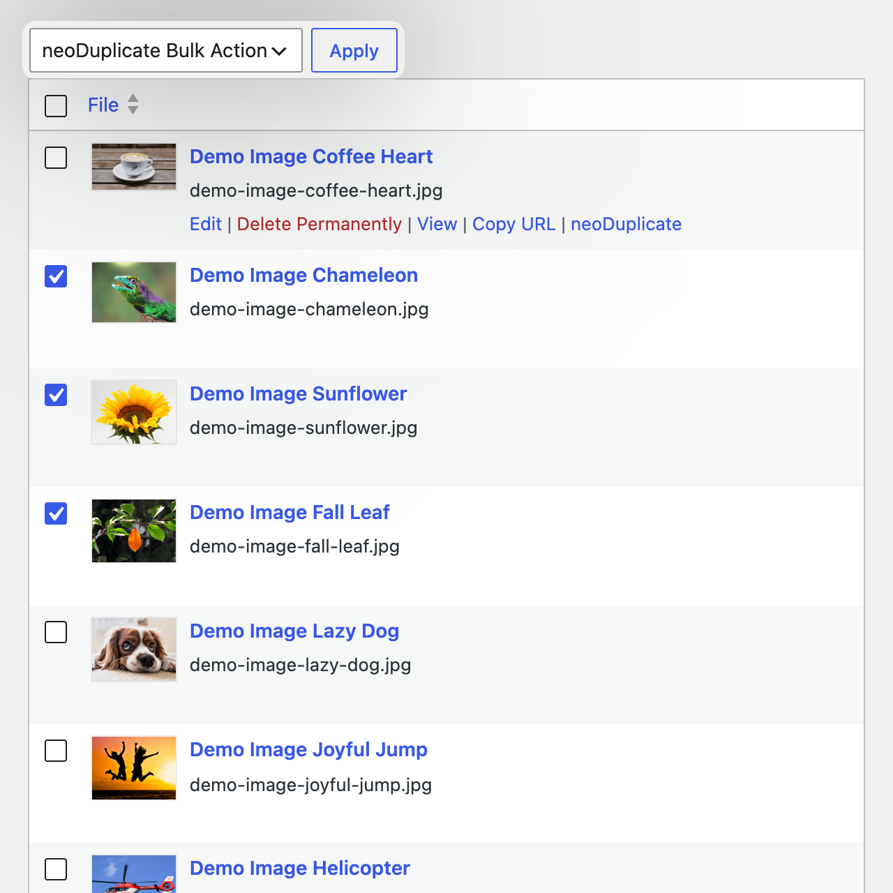 neo Duplicate - Bulk action in the WordPress media library to duplicate multiple selected images with neoDuplicate