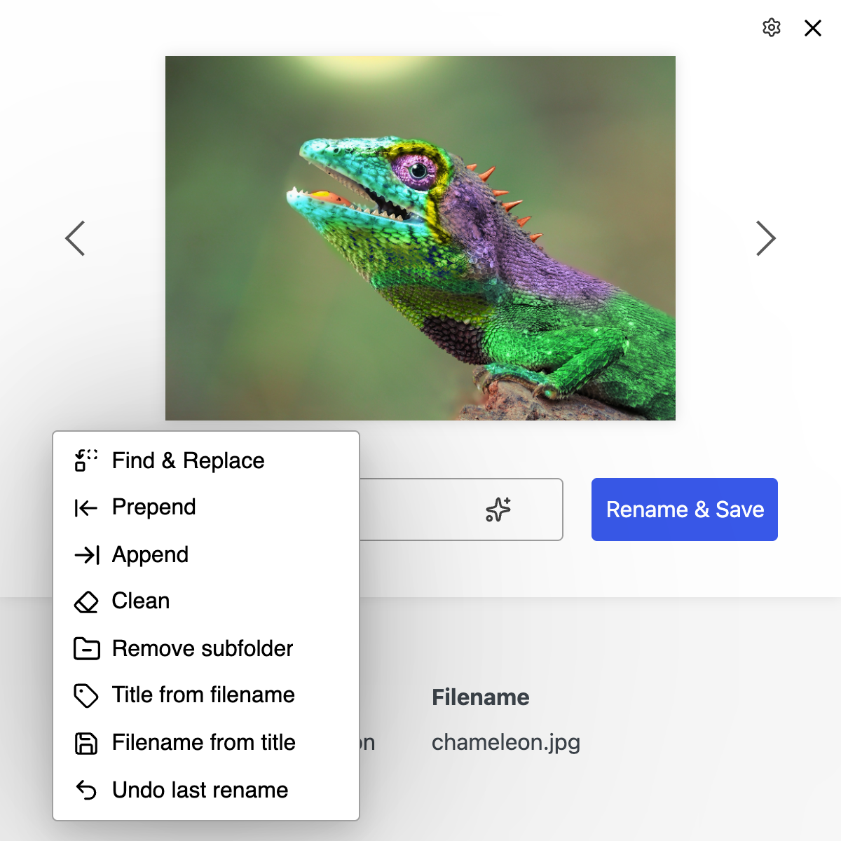 neo Rename - Search & Replace (Regex), prefix, suffix, new name, remove, clean, remove subfolders, title from filename, ...