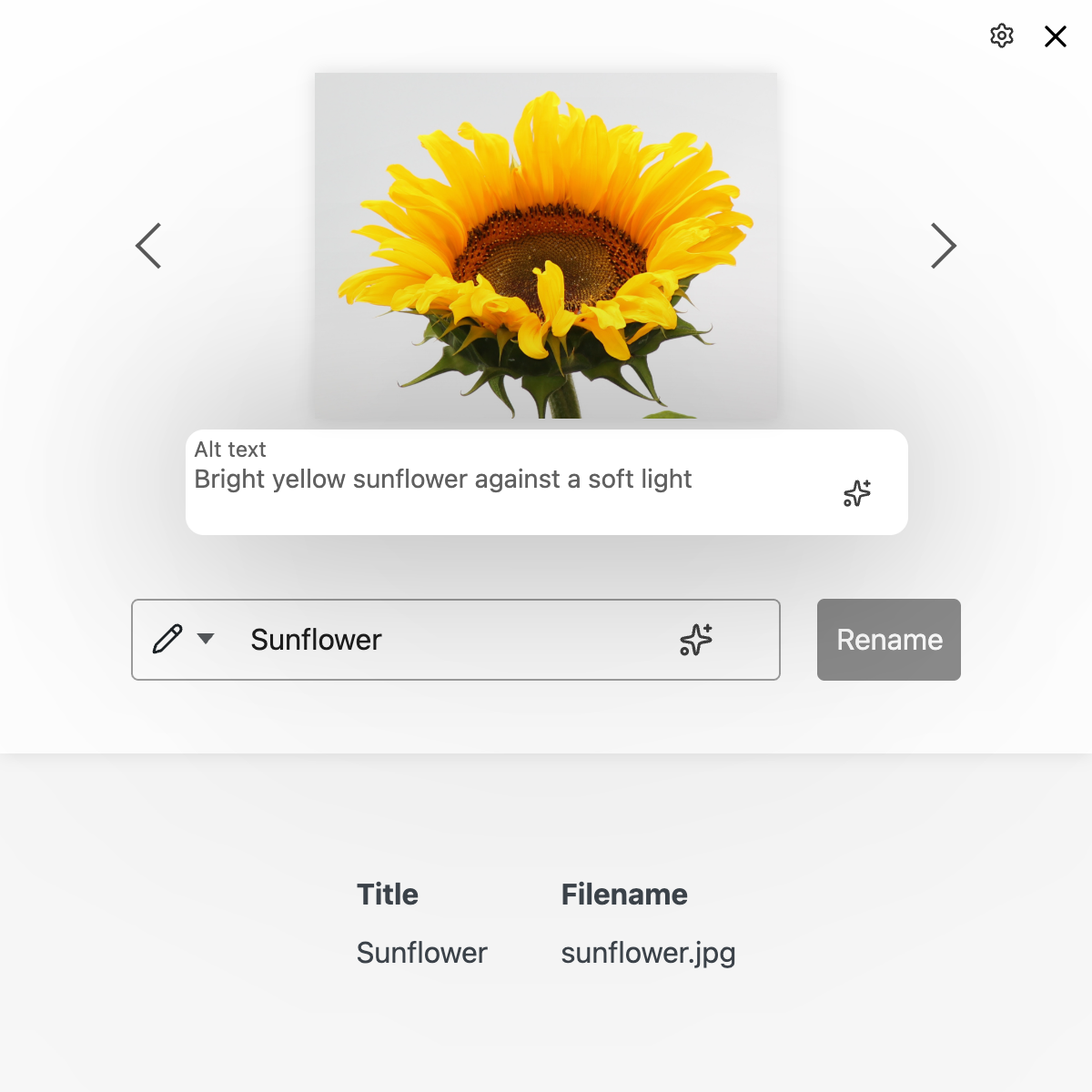 neo Rename - AI-generated alt texts based on image content and the context of the page where the image is used