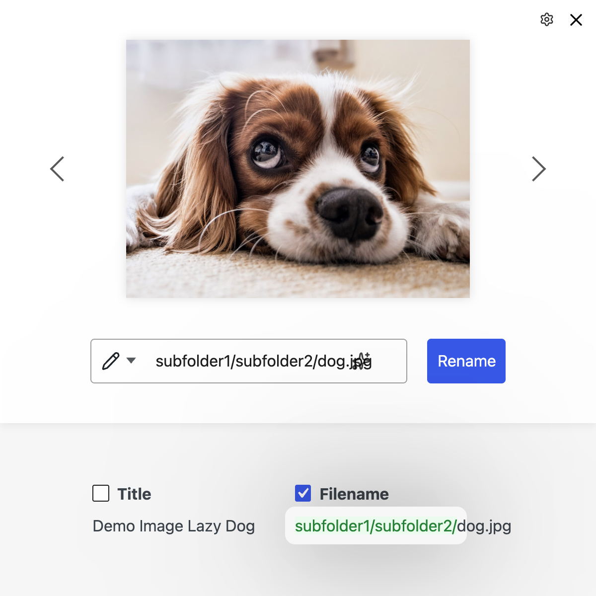 neo Rename - Move images into subfolders by entering ”/” in the image title (e.g. events/teamevent/image.jpg)