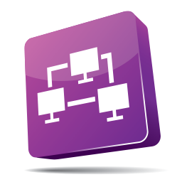 Network Plugin Auditor logo