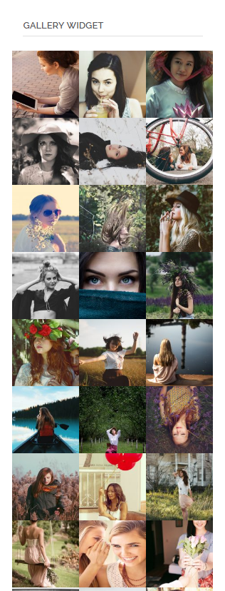 Gallery Into Sidebar Widget