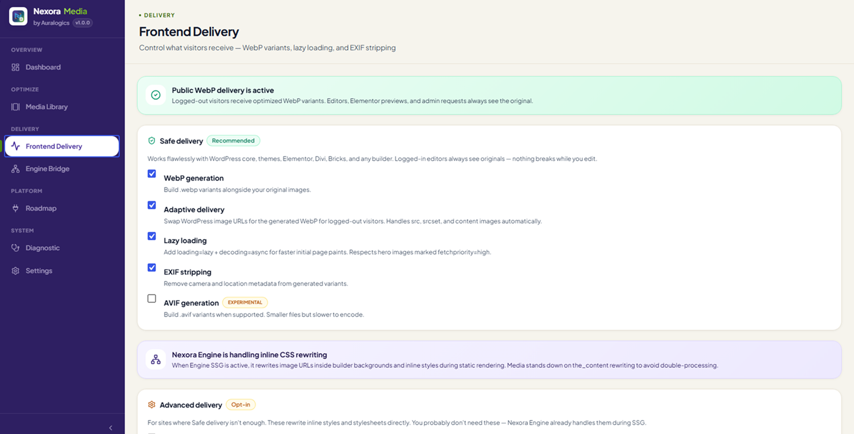 Frontend Delivery — safe vs advanced settings clearly separated, with builder-safe defaults