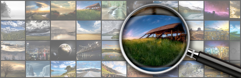 NextGEN Gallery Search