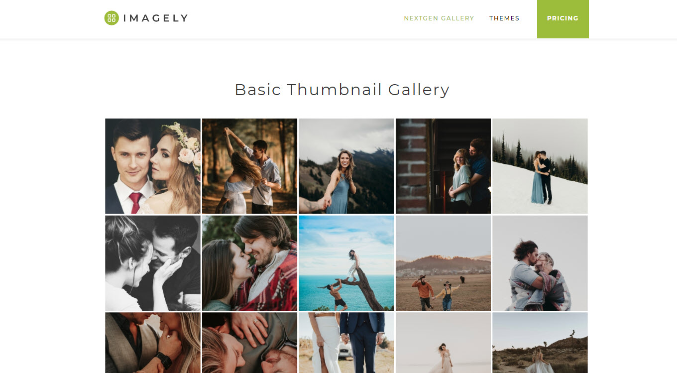 Photo Gallery, Sliders, Proofing and Themes &#8211; NextGEN Gallery