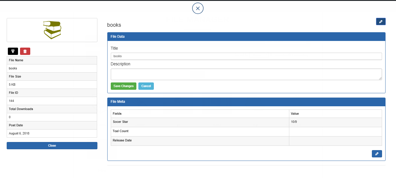 Frontend View of Single File Detail