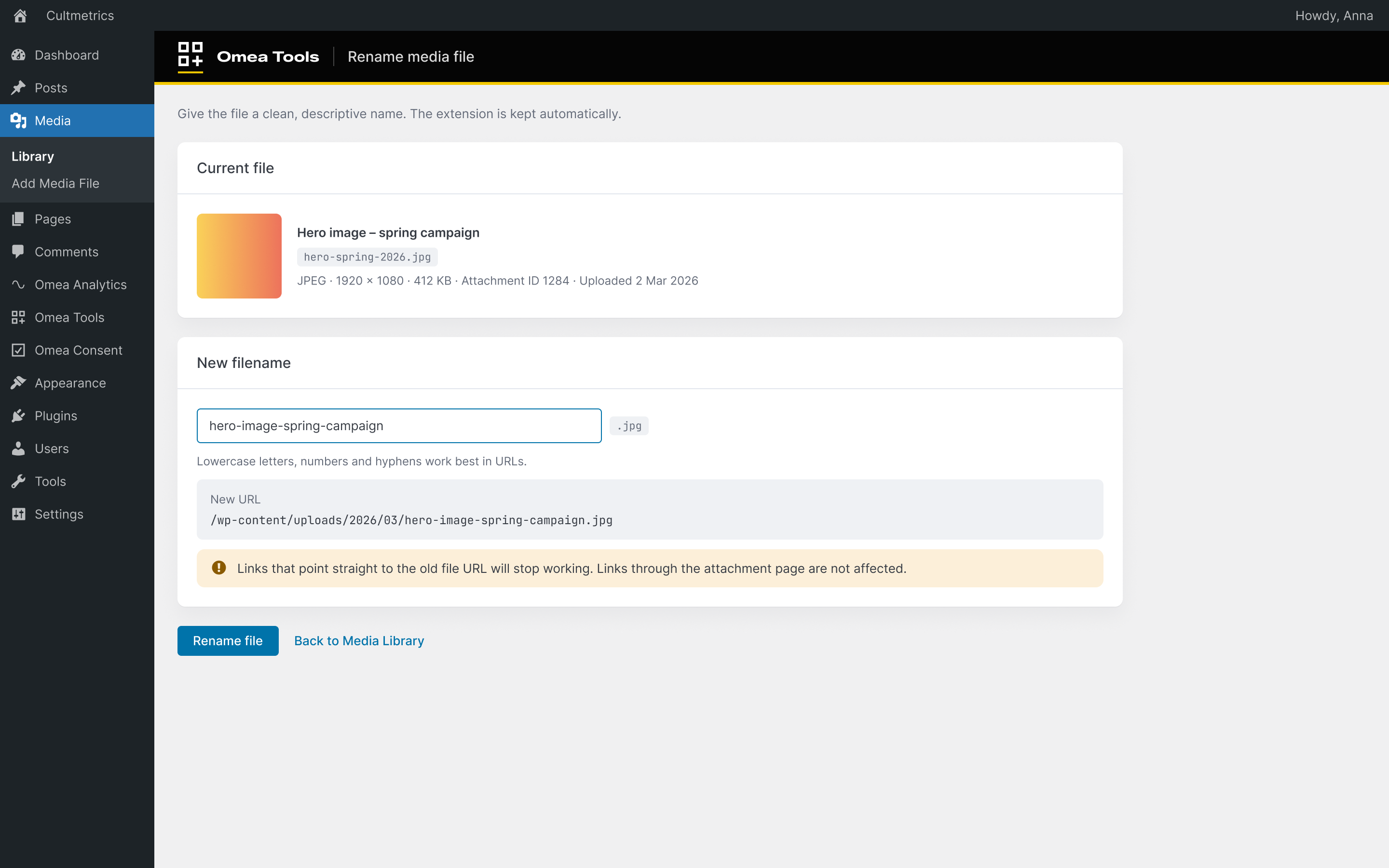 Rename a media file to a clean, SEO-friendly name – the new URL is shown before you save.