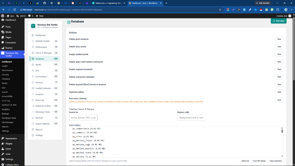 Database Optimizer with post revisions, auto-drafts, expired transient cleanup, and search & replace.