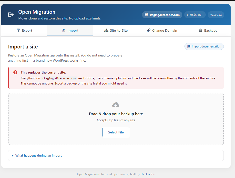 The Import tab with its drag-and-drop upload area