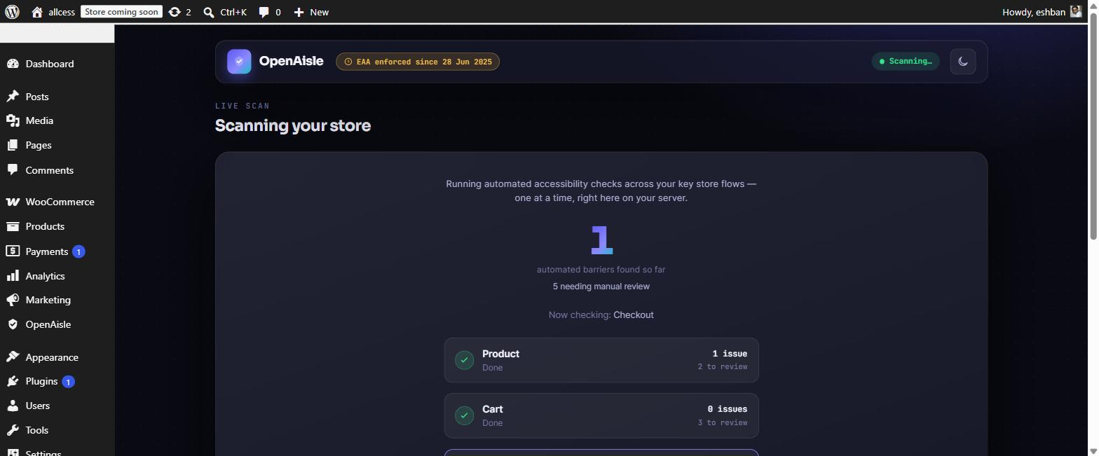 Live scan — each store flow checked on your server, one at a time, with a running barrier count.