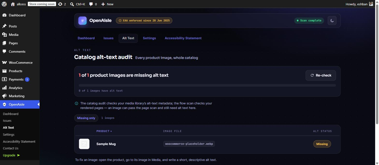 Catalog alt-text audit — every product image across your catalog, showing which are missing alt text.
