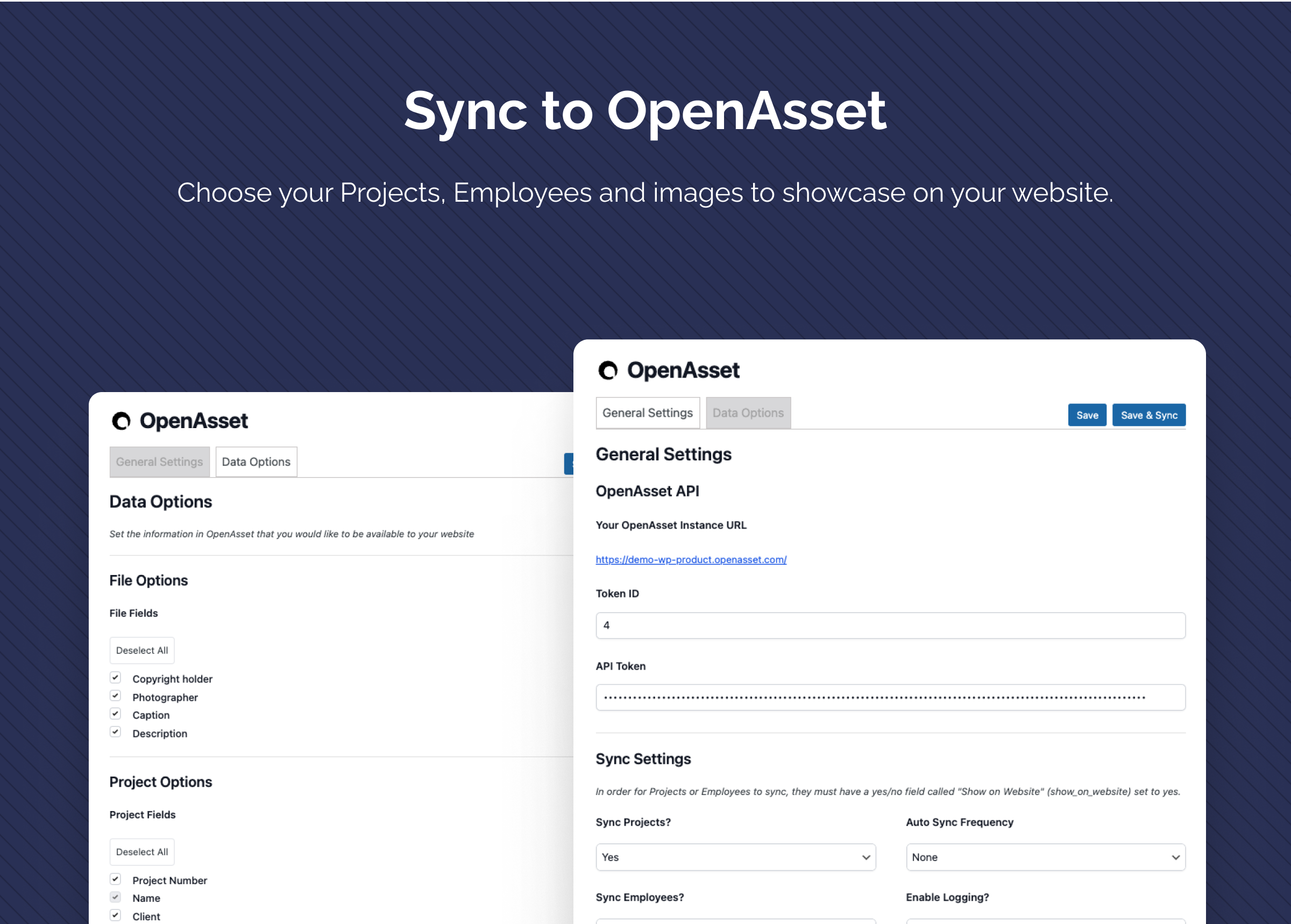 Connect to OpenAsset and choose to sync Projects, Employees or both.