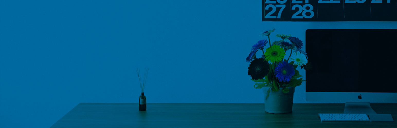 Options for Twenty Nineteen