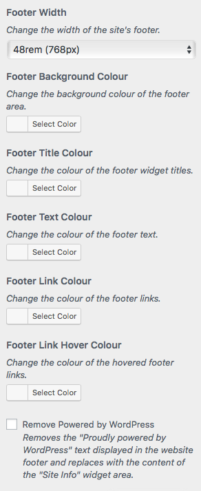 Footer Options