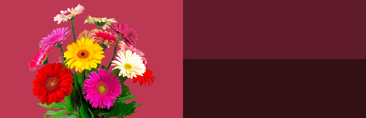 Options for Twenty Twenty