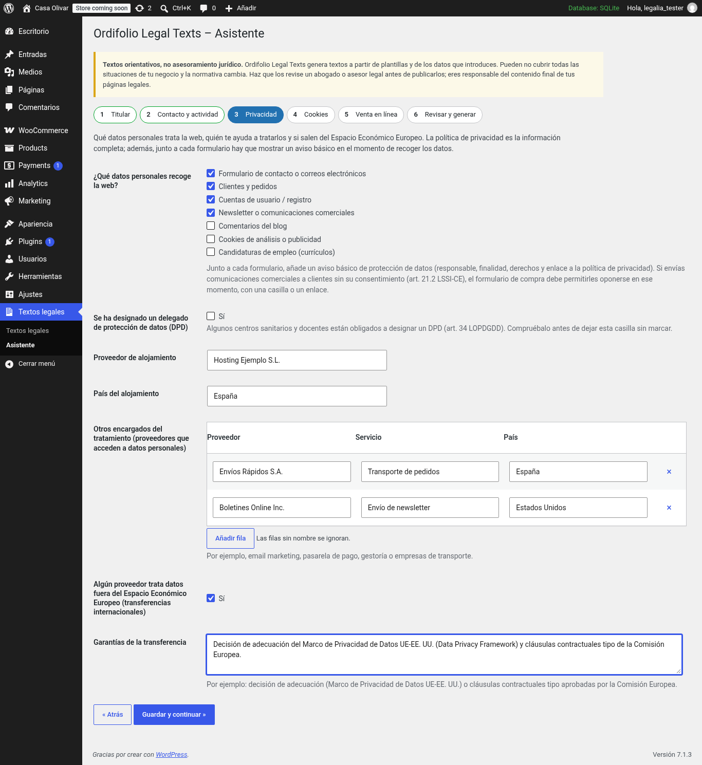 Privacy step: purposes, hosting and other processors, international transfers.