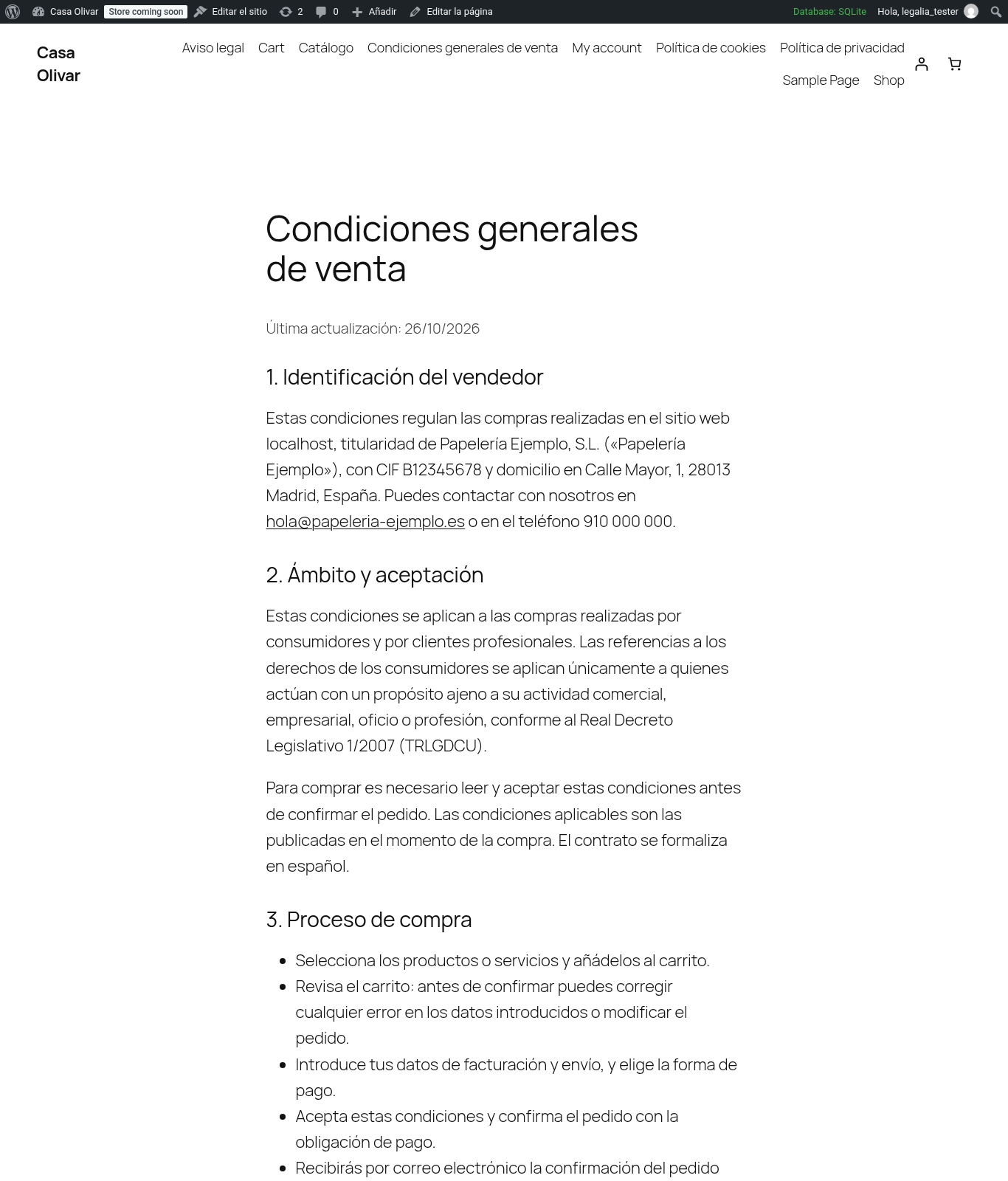 Generated terms of sale page (draft preview).